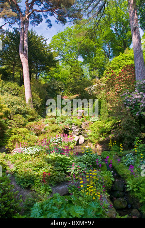 The Rock Garden, Bodnant Gardens, Near Colwyn Bay, Clwyd, North Wales, UK Stock Photo
