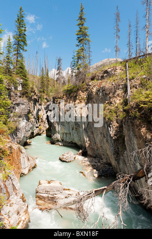 Tokkum Creek flowing through Marble Canyon, Kootenay National Park, Rocky Mountains, British Columbia, Canada Stock Photo