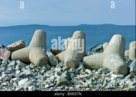 Saltee Islands in Irish Sea with sea defences in foreground, Kilmore, County Wexford, Ireland Stock Photo