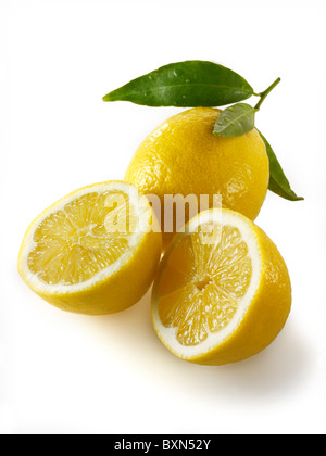 Whole and cut lemons with leaves on white background, top view Stock ...
