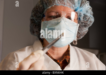 Necropsy Diagnostic lab at University of Maine Stock Photo