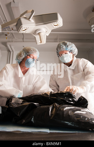 Necropsy Diagnostic lab at University of Maine Stock Photo