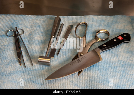 Necropsy Diagnostic lab tools Stock Photo