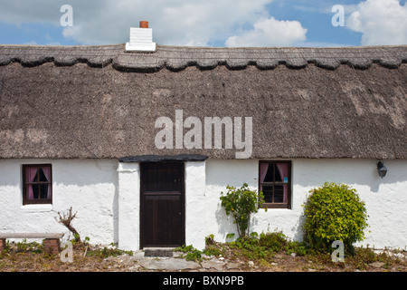 Newly whitewashed and renovated thatched cottage near Fethard-on-Sea, County Wexford, Ireland Stock Photo