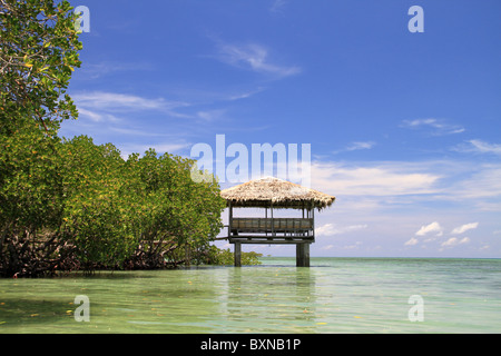 Scenic view of a hut on stilts on the ocean on a blue day. To the left of the image is a tropical mangrove forest. Stock Photo