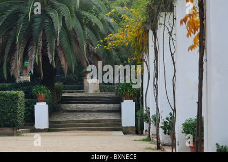 quiet scenery from famous Montjuic gardens in Barcelona Spain Stock Photo