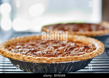 Pecan pies cooling on a rack in front of a window - Shallow DOF Stock Photo
