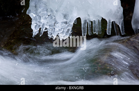 Close-up of icicles forming on a river bank with a fast running river below Stock Photo