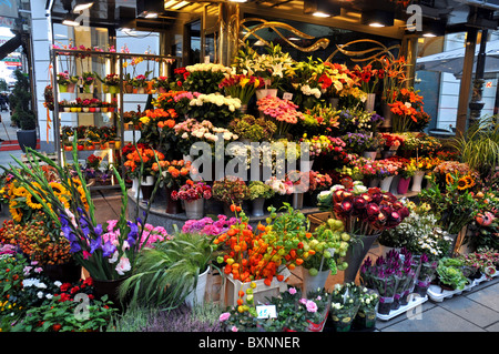 Flower shop city centre, Vienna, Austria Stock Photo
