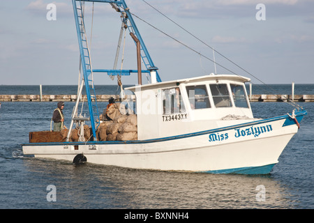 Boat carrying harvested bagged oysters, Stock Photo