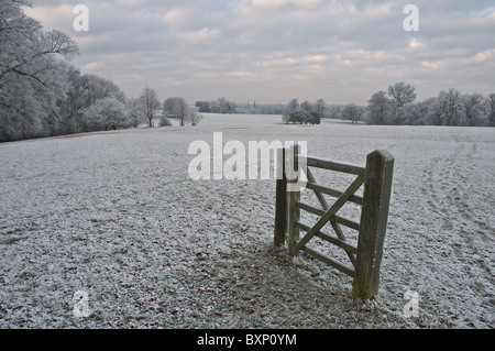 A wintery scene in Burghley Park, Stamford as freezing fog turns the landscape white Stock Photo