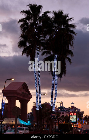 Palm trees decorated with rope lights for christmas in Las Americas, Tenerife Canary Islands Spain Stock Photo