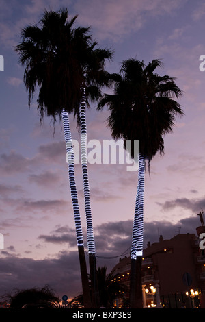 Palm trees decorated with rope lights for christmas in Las Americas, Tenerife Canary Islands Spain Stock Photo