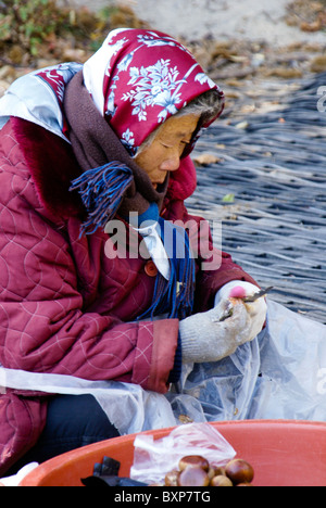 Woman peeling chestnuts, South Korea Stock Photo