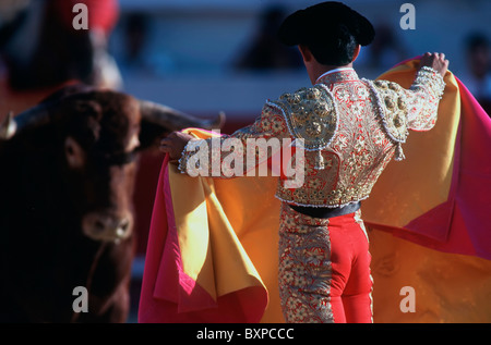 Bullfighting in the arena. The colors and the lights of the fight between a man and a wild animal. Stock Photo