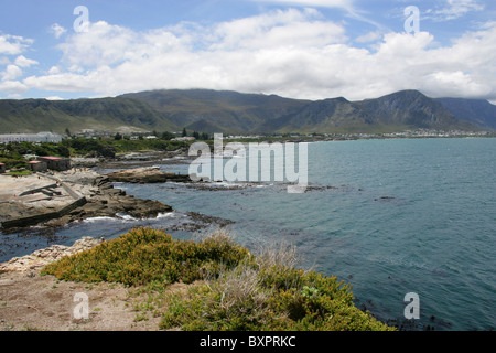 Walker Bay, Hermanus, Western Cape, South Africa Stock Photo