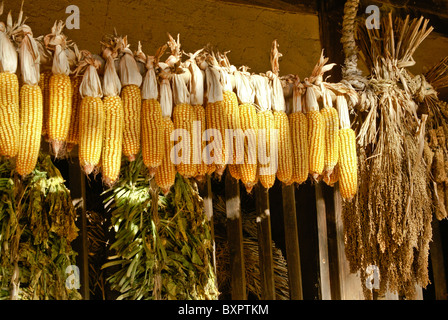 Drying vegetables, South Korea Stock Photo