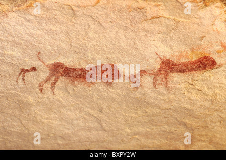 Unfinished painting of baboons rock painting by San population, Sevilla Rock Art Trail, Cederberg mountains, South Africa Stock Photo