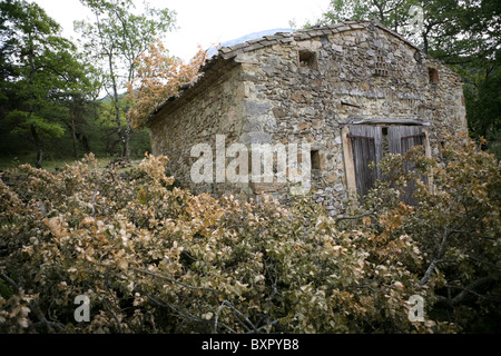 A derelict stone building surrounded by felled oak branches in South-East France. Stock Photo