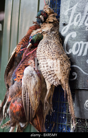 Game meat on sale,Borough Market,London,UK Stock Photo