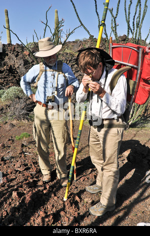 Geologist viewing rock with hand lens, El Pinacate Biosphere Reserve, Sonora, Mexico Stock Photo