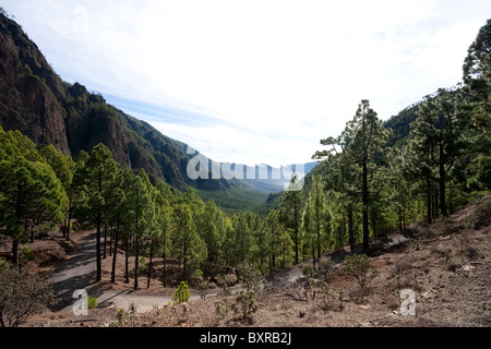 View of a valley in the Caldera de Taburiente National Park on La Palma Island, Canary Islands Stock Photo