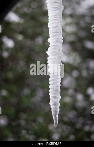 Icicle hanging from the roof -close-up Stock Photo