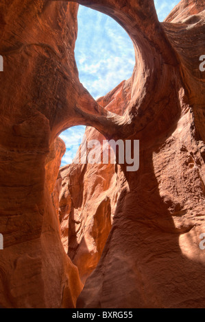 HDR image of arches and holes in the eroded, narrow, red sandstone confines of Peekaboo Canyon,Grand Staircase-Escalante, Utah Stock Photo