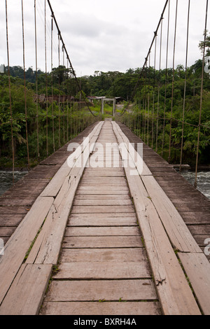 Pureza Bridge Amazon Rainforest, Pastaza, Ecuador Stock Photo - Alamy