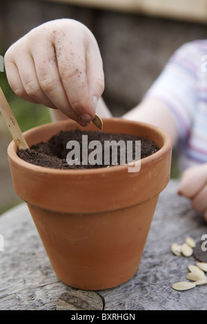 Elementary age girl planting pumpkin seed in plant pot filled with soil Stock Photo