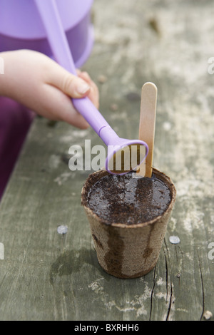 Hand watering seeds in small biodegradable pot with watering can Stock Photo