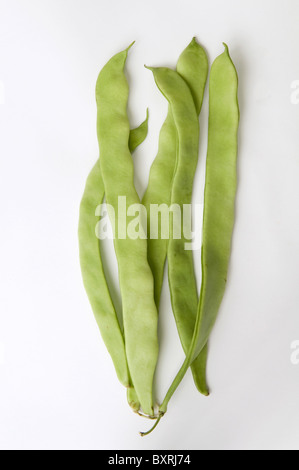 Close-up of runner beans on white background Stock Photo