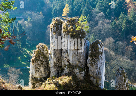 Glove Rock in Ojcow National Park, Poland Stock Photo