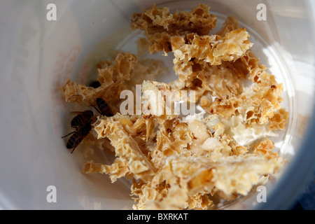 asiatische frosted flakes