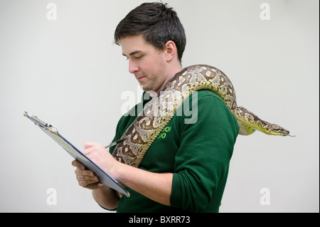 Zookeepers carryout the annual stocktake at London Zoo, Regents Park, London, 4th January 2011. Stock Photo