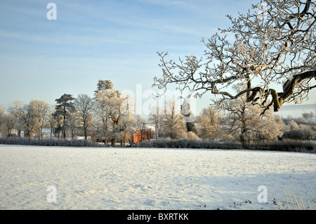 Whitminster Gloucestershire UK Oak Tree Meadow Winter Snow Hore Hoar Frost Sun Rise Stock Photo