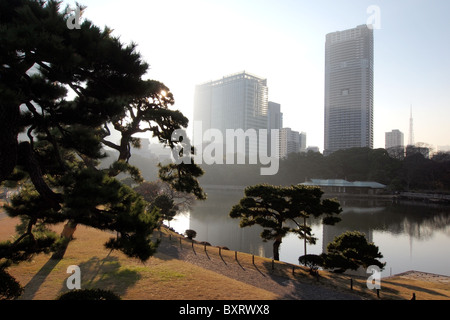 Skyline cityscape skyscrapers in Tokyo Japan Stock Photo