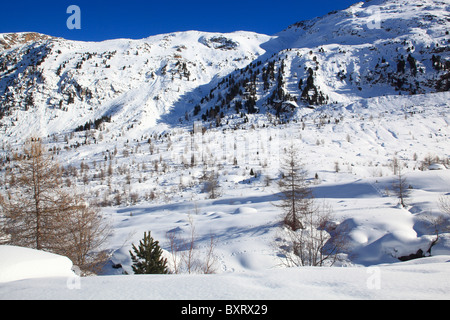 Landscape, Bernina Valley, Engadin, canton of Graubünden, Switzerland, Europe Stock Photo