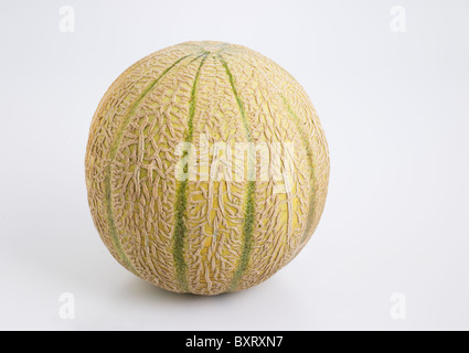 Charentais melon on white background Stock Photo