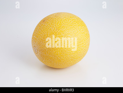 Galia Melon on white background