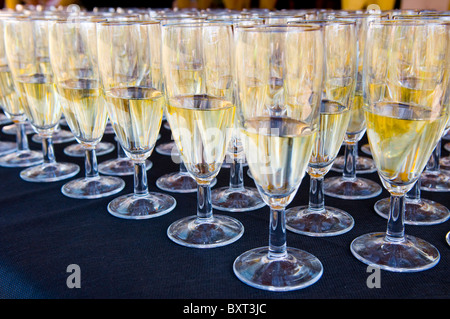Rows of Champagne Glasses Stock Photo