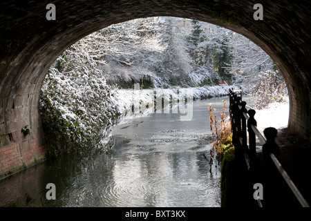 Snow covered canal and trees seen through the Cleveland tunnel in Sydney Gardens, Bath Spa Somerset UK Stock Photo