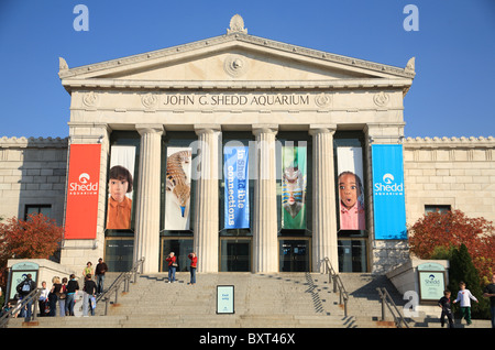 Columns, facade, and front entrance steps of the Shedd Aquarium Chicago Illinois USA Stock Photo