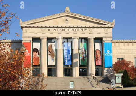 Columns, facade, and front entrance steps of the Shedd Aquarium Chicago Illinois USA Stock Photo