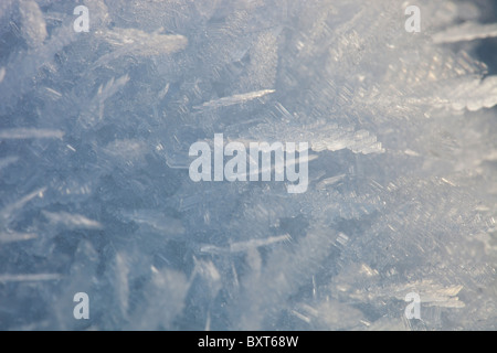 Ice feathers formed during a hard frost, when temperatures fell below minus 10 during the December 2010 cold snap Stock Photo