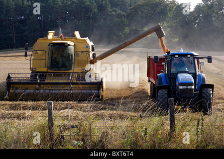 Combine harvester and tractor bringing in the harvest. Stock Photo