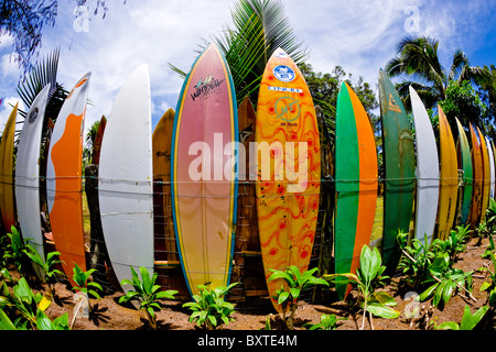 A fence of colorful vintage surfboards in Haiku, on Maui, Hawaii that was seen on 'the amazing race' TV show with a fisheye lens Stock Photo