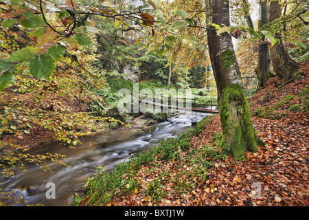 Bridge over stream with trees covered in autumn colours.Scotland