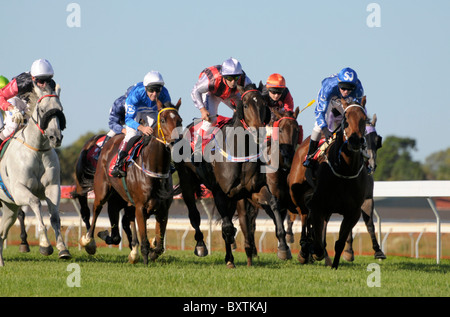Kalgoorlie Races Race At Anzac Day Races At The Kalgoorlie-boulder Racecourse Kalgoorlie ...