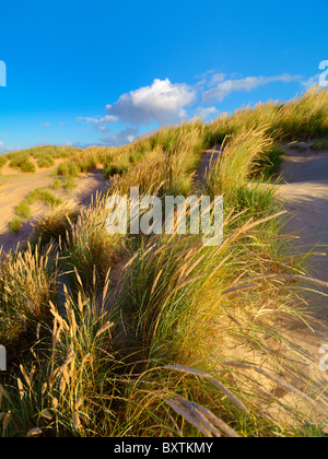 Camber Sands East Sussex Stock Photo